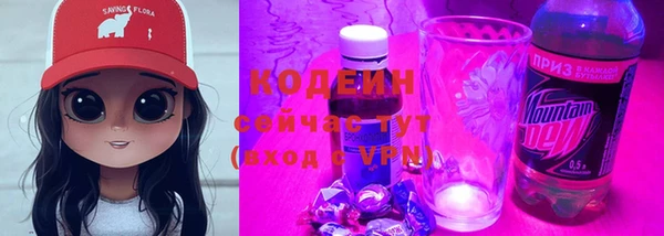 дживик Новозыбков