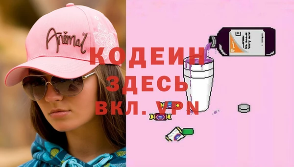 дживик Новозыбков