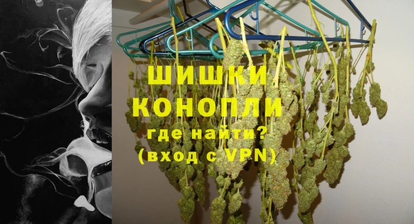 дживик Новозыбков